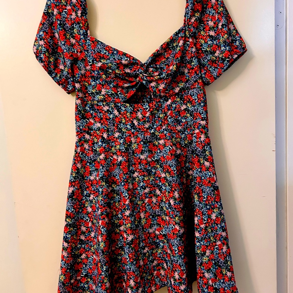 Gianni Bini blue red pink green flowers A line dress